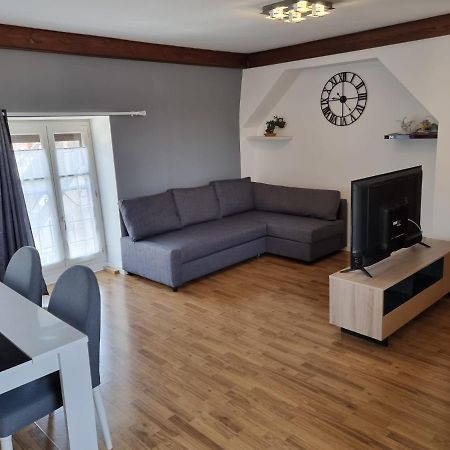 Appartement T3 Bis En Coeur De Ville ディジョン エクステリア 写真