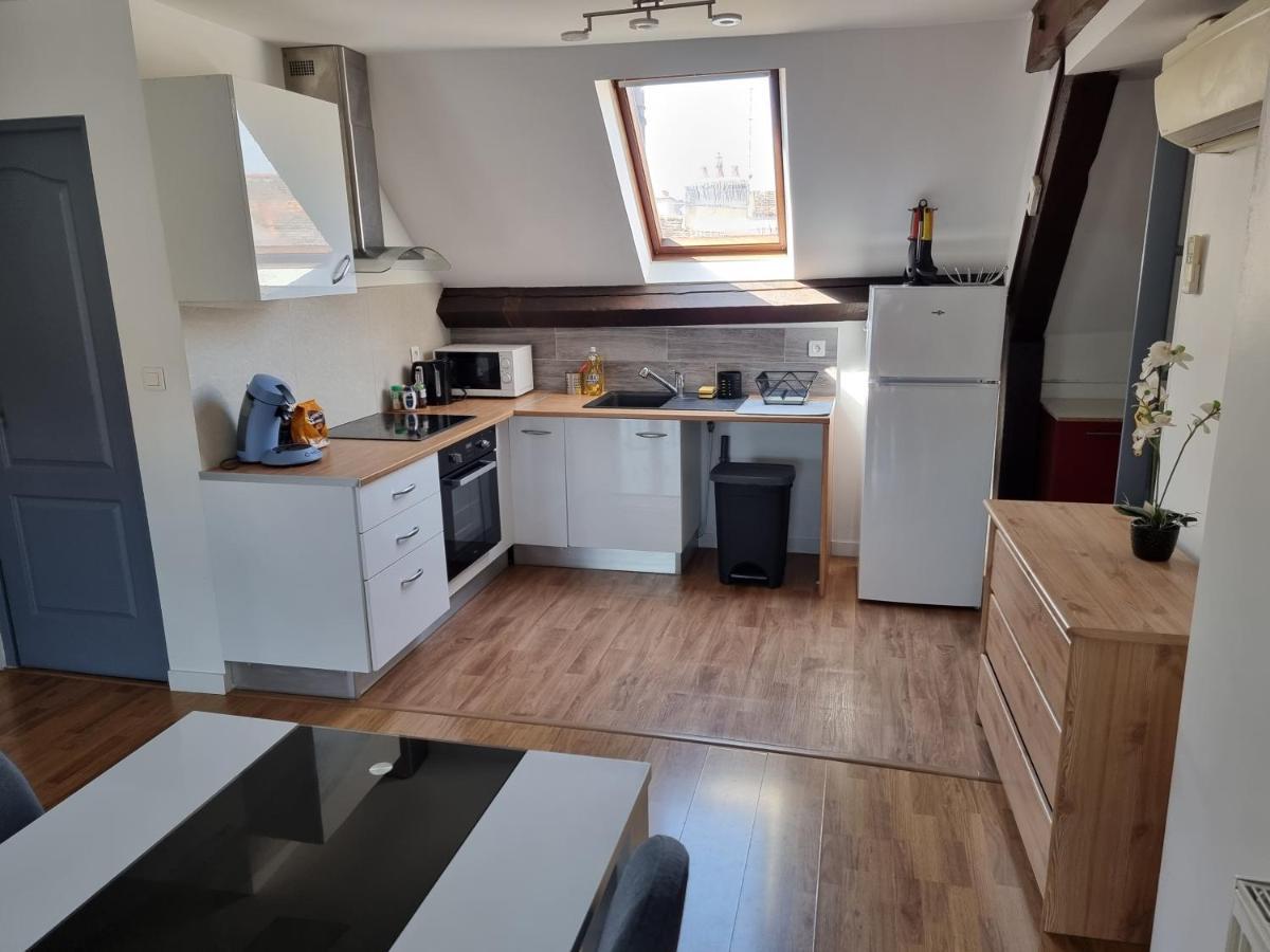 Appartement T3 Bis En Coeur De Ville ディジョン エクステリア 写真
